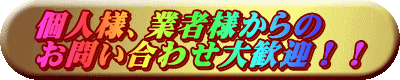 �l�l�A�Ǝҗl����� ���₢���킹�劽�}�I�I